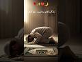 ,allah se kurbat ka mazha #deeni #shortvideos #deenibaatien #short feed