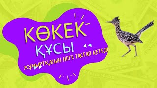 Кішкентай трикотаждағы порно Әйелдердің жамбас шаштары туралы әдемі бейнелер