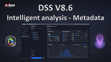 DSS 8.6 - Metadata analysis - Intelligent analysis module