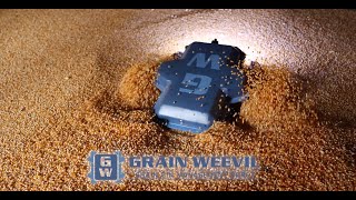 Grain Bin Robot | Grain Weevil