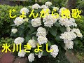 じょんがら挽歌/氷川きよし Cover♪あじさん・・♪
