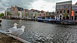 Haarlem City Walk: Exploring the Charming Center of Haarlem, Netherlands, RAW in 4K, 2024