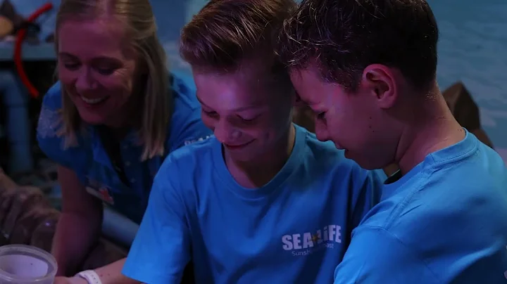 Junior Marine Biologist for a Day