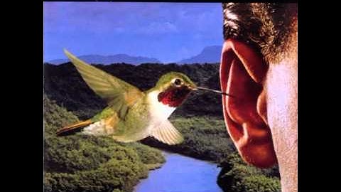 Prototype - Video Kids (Audio only)