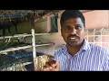 Profitable Sericulture Thiru Sakthivel  Experiance [பட்டுபுழு வளர்ப்பு]