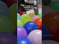 watch till the end🤣😂 #wholesome #funny #pets #cat #viral #sweet