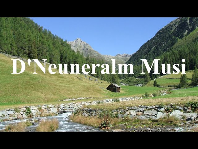 D Neuneralm Musi - Gut gestimmt