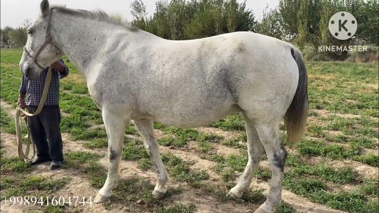 Retro XXX toliq metrajli filmlar