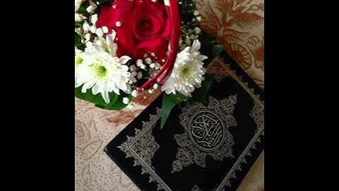 تلاوة عراقية ما تيسر م̷ـــِْن سورة آل عمران