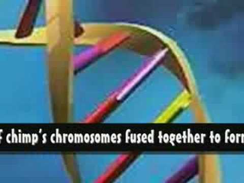 The Evolution Hoax- Part 1