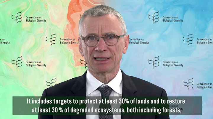 International Day of Forest 2023, Statement by Dav...