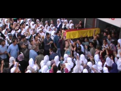 yilmaz ayan hesen