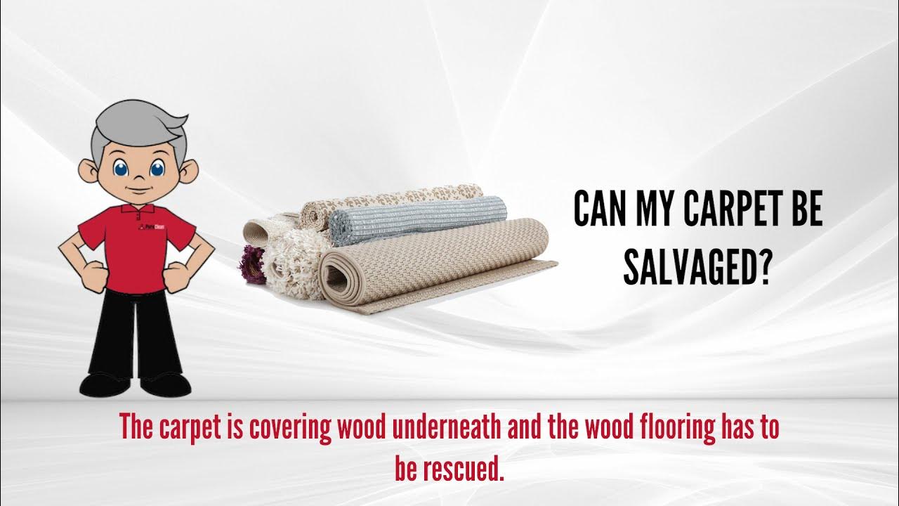 Can Carpet Be Saved? YouTube