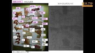 渡部終五「魚類筋肉への放射能セシウムの蓄積と水洗による除去」ー第2回放射能の農畜水産物等への影響についての研究報告会