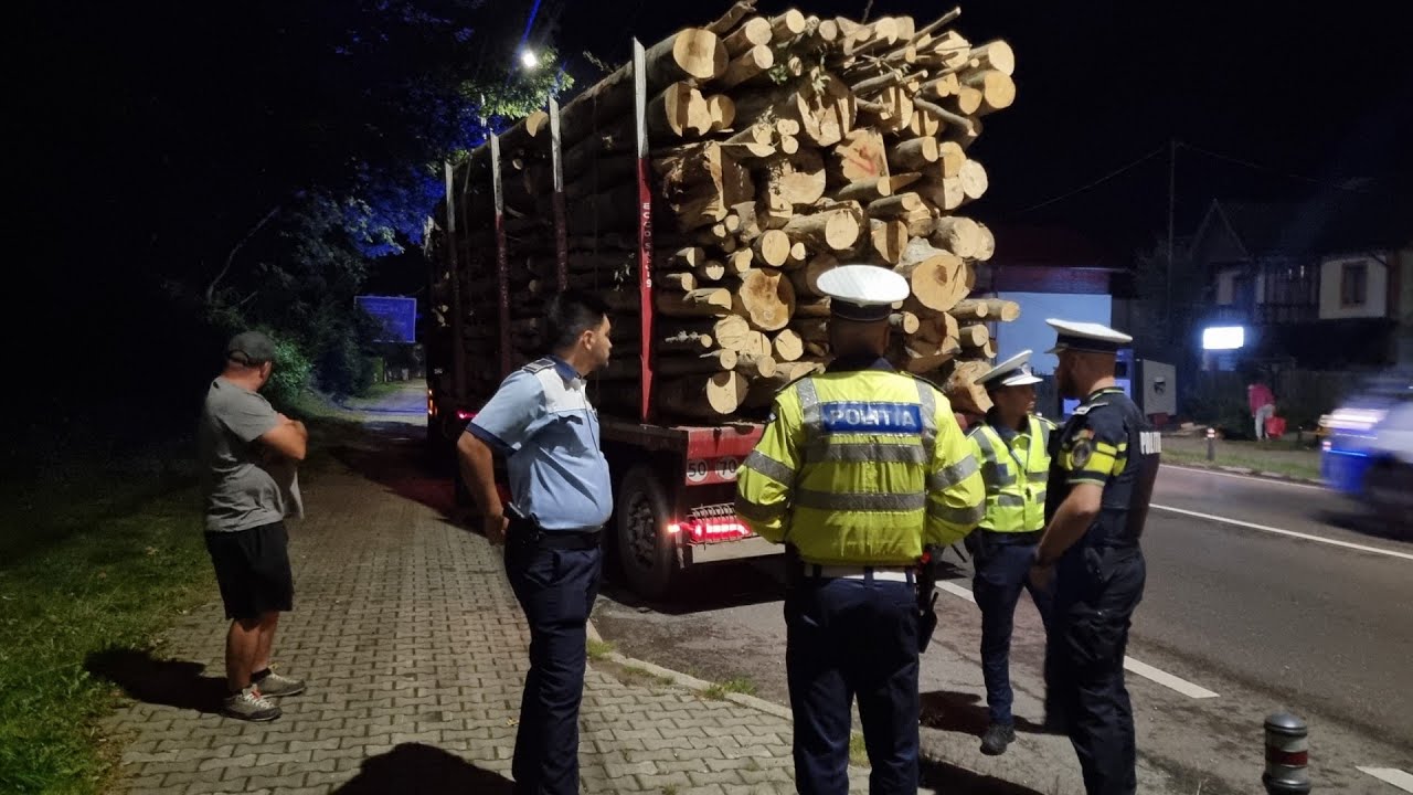 Cursă infernală pe trei județe ! Mafia pădurilor revine în forță!Poliția în acțiune!