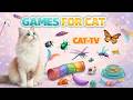 CAT GAMES 🐾 3D Cat TV Frenzy – Lizard Dash • Mouse Dash • Bird Chase! 😺 | 6 Hours 4K60FPS