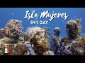 Swimming with Whale Sharks and Diving Around Isla Mujeres: One Day