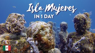 Swimming with Whale Sharks and Diving Around Isla Mujeres: One Day