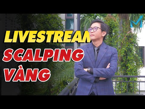 Thực Chiến Scalping Vàng Cùng mForex - mForex Livestream