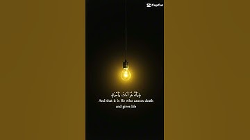 #quran #قرآن #ناصر_القطامي #سورة_النجم