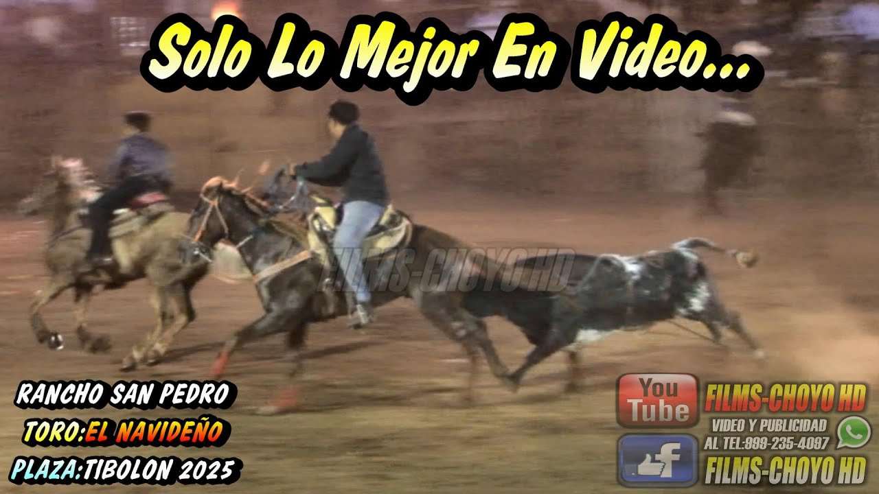 TORO EL NAVIDEÑO EN LA FIESTA TRADICIONAL DE TIBOLON YUCATAN EL DOMINGO ...