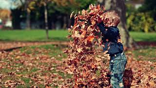 Autumn Music Эсфирь Корзина   Осень