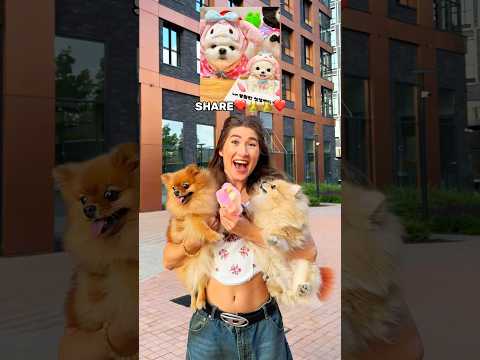 OMG😱 Your DOG🐶