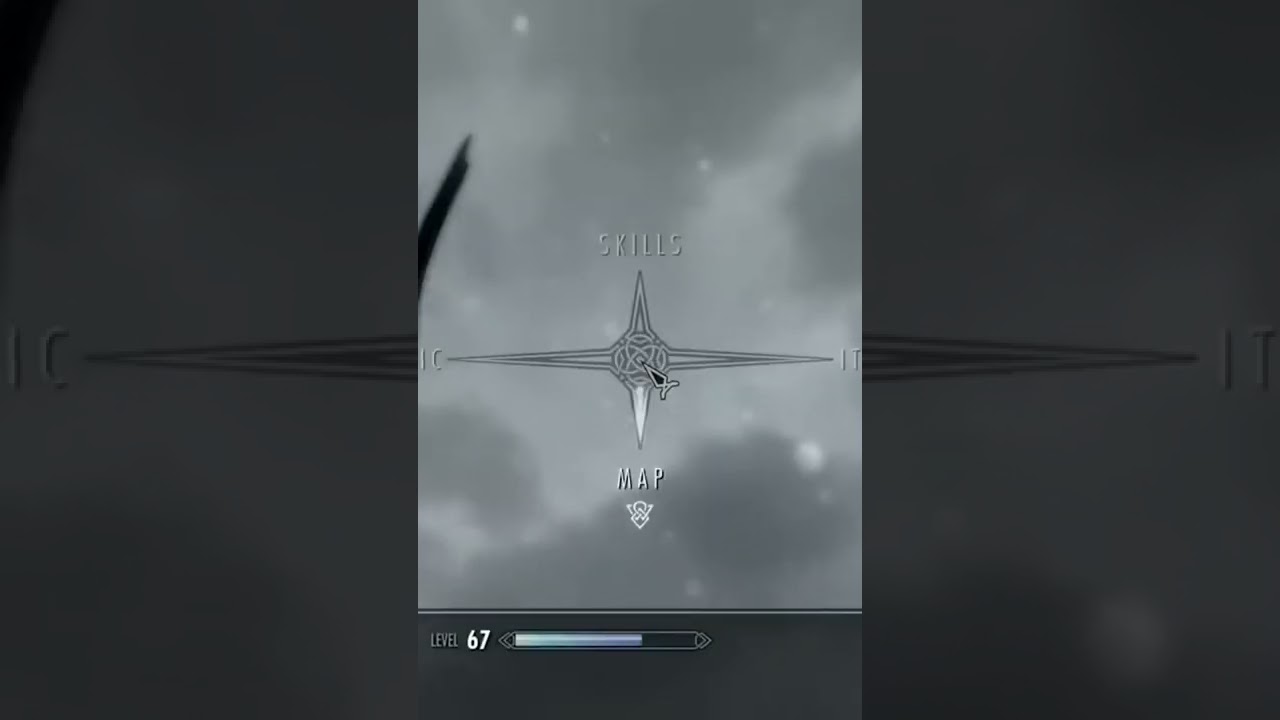 Skyrim | Most insane shot ever 