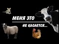 Меня это не касается...