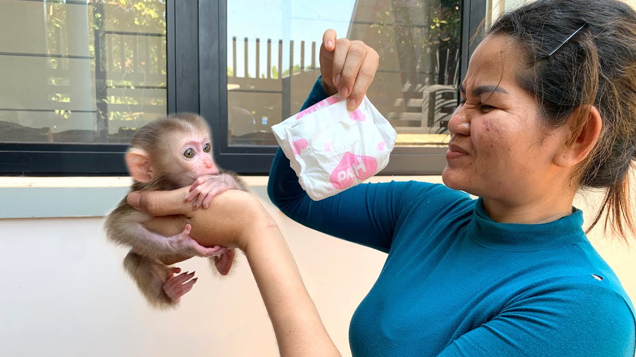 Baby Monkey Change Old Nappy By Mummy Because Your Butt Wash is Bad smell