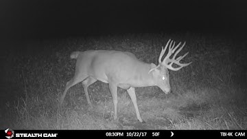 ScrapeFix SW Iowa Giant