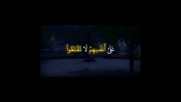 اكتب شيء تؤجر عليه🌿🖤||ياسر الدوسري🎧😴 #تلاوة_خاشعة #القارئ_ياسر_الدوسري #اجر #quran #karim_quran_1