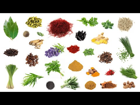 Video: Spices And Herbs: What's What