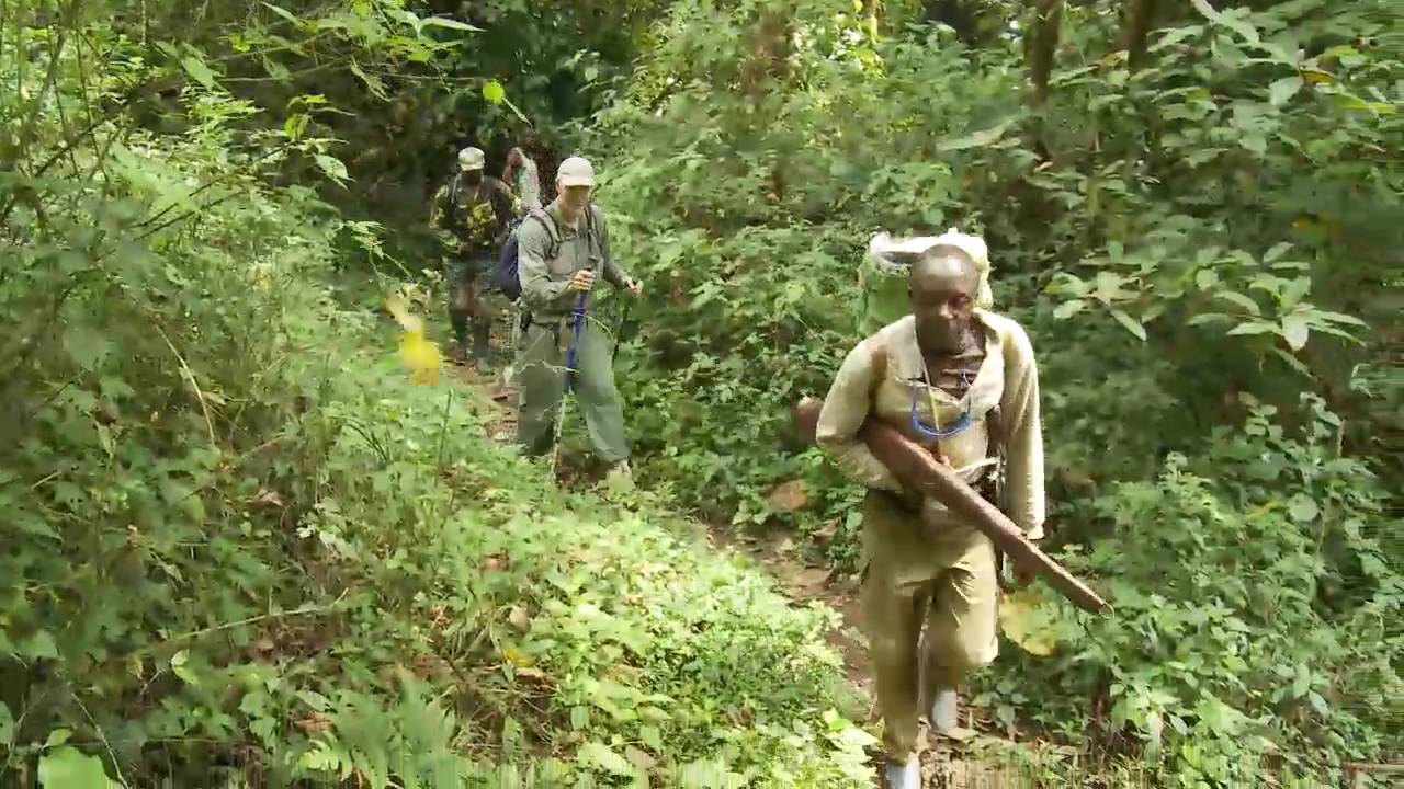 The Cameroon Elephant Project: Saving Earth's Largest Land Mammal