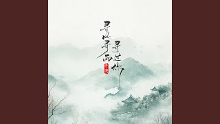 寻风寻雨寻过你