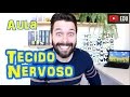 Tecido Nervoso - Histologia - Aula | Prof. Samuel Cunha