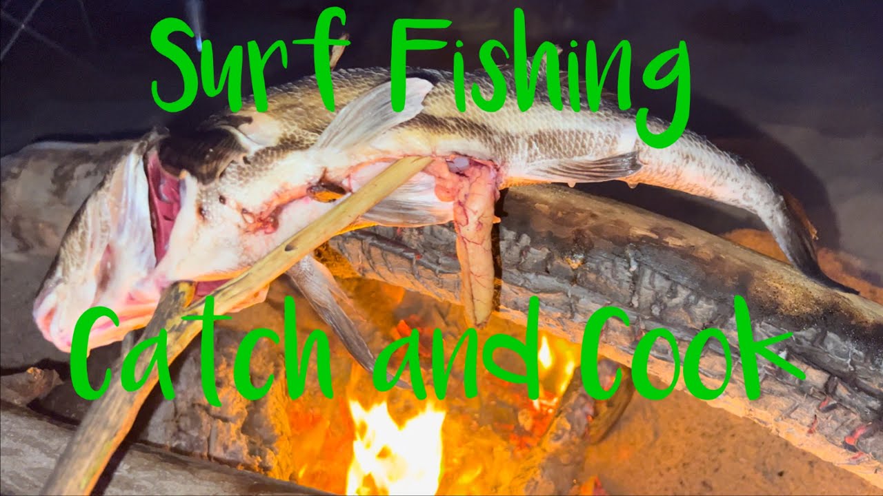 Surf Fishing Catch and Cook surfcasting fishing catchandcook catch