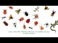 Biodiversité