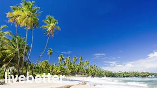 Musik calypso, musik Karibia, musik bahagia, musik instrumental, musik untuk relaksasi screenshot 4