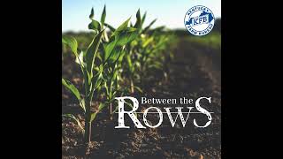 Jeff Pettit | Between the Rows