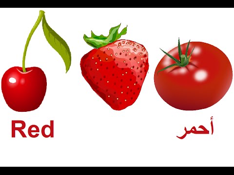 تعلم الالوان للاطفال Learn The Colors In Arabic And English