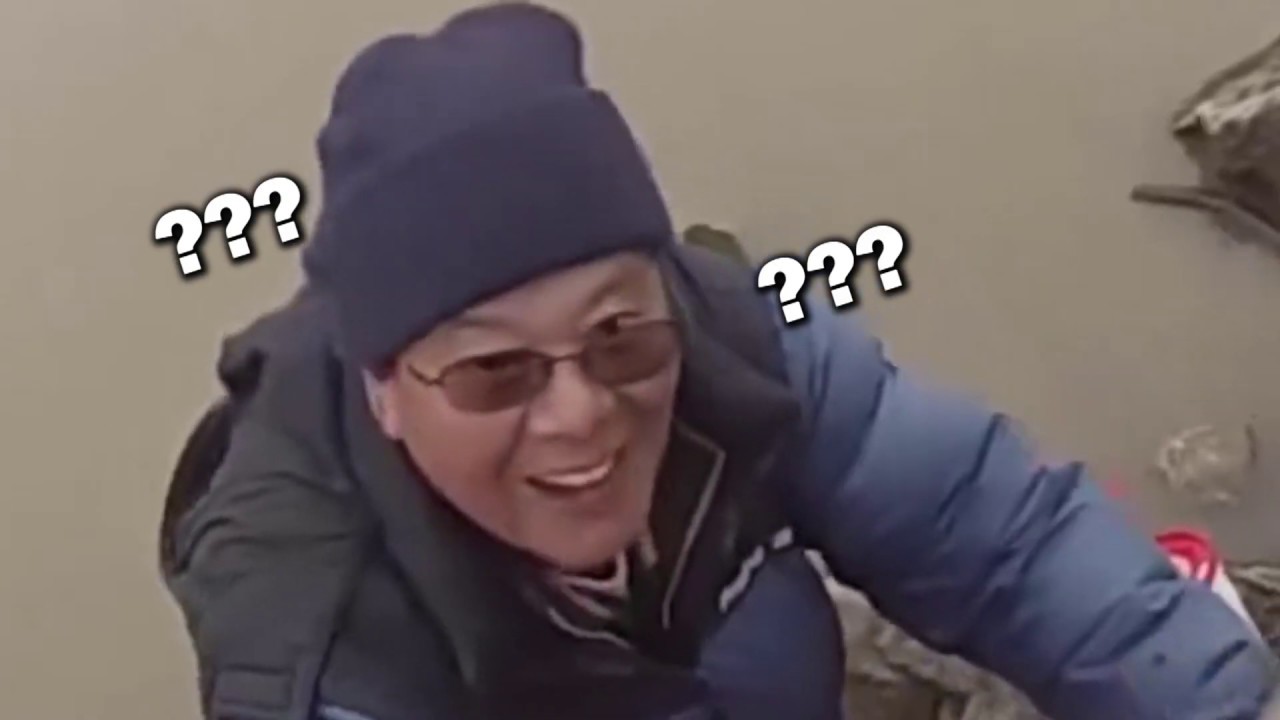 language translator Laoshu's Best Moments video contest Submission- TylerGreen ((SECOND CONTESTANT))