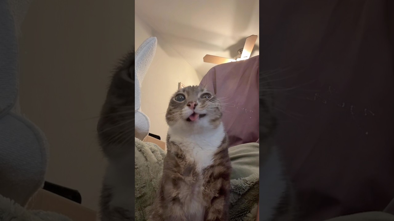 Rigbycat’s Ultimate bathroom break! (hold still)