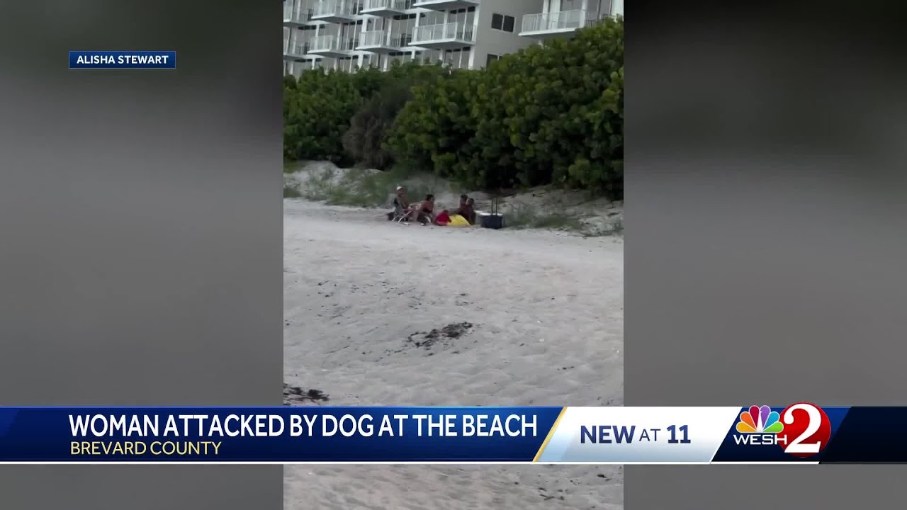 Woman attacked by dog at Brevard County beach