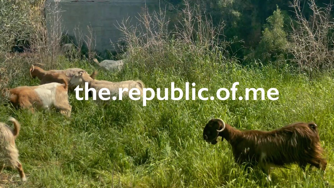 Goats came for a visit / the republic of me knitting, weaving + gardening vlog