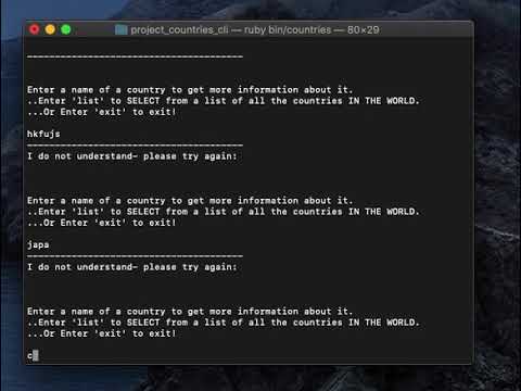 Basic CLI Application using REST COUNTRIES Api Walkthrough