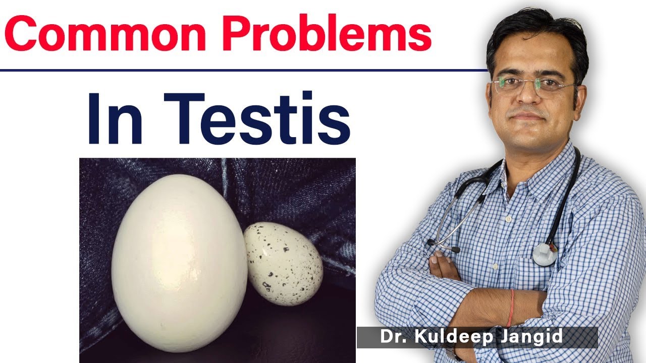 Common Testicle Problems Diseases of Testis अंडकोष की बिमारियाँ