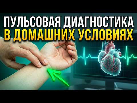 Olga Shishova demonstrates: pulse diagnostics at home