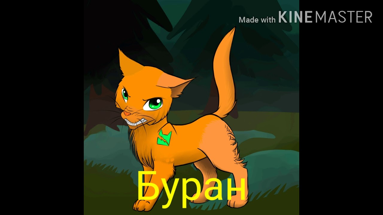 Генератор характера кота воителя