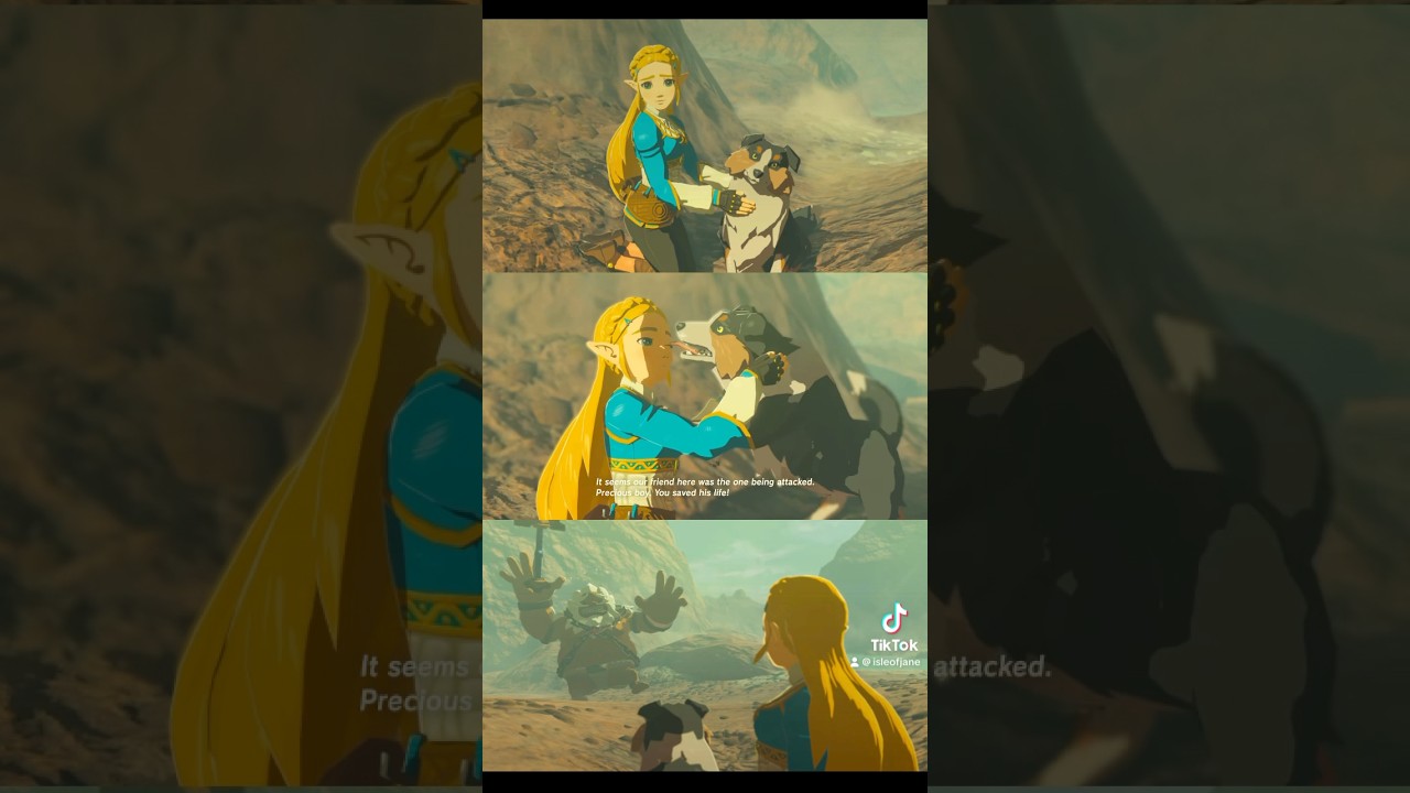 Daruk Is Afraid Of Dogs breathofthewild YouTube Daruk Is Afraid Of Dogs breathofthewild YouTube